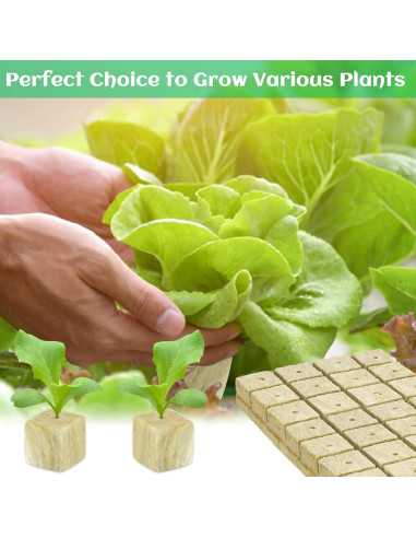 Cubos de Lana de Roca Legigo 5.08 cm para Germinación Hidropónica