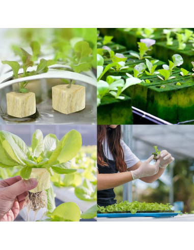Cubos de Lana de Roca Legigo 5.08 cm para Germinación Hidropónica