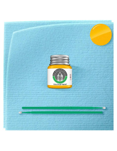 Pintura Automotriz ERA D6/M7109 Amarillo Gritando 7.39 ml