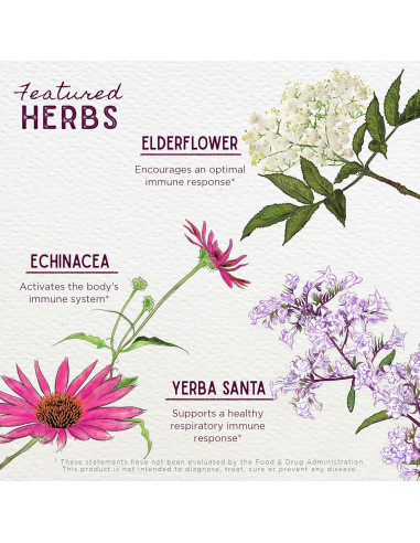 Suplemento Inmunológico Kick-Ass WishGarden 30ml - Herbal