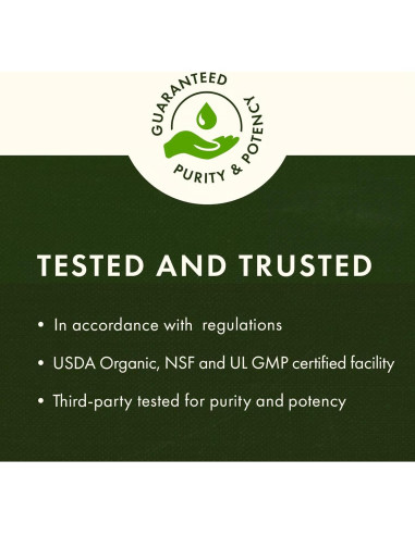 Chlorella Rota 500 mg Swanson 360 Tabs - Suplemento Natural