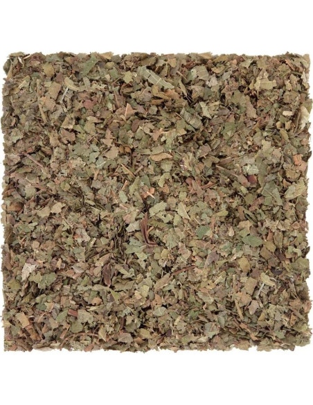 Té Herbal Hoja de Nogal Común Health Embassy 50g