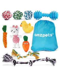 Conjunto de 10 Juguetes para Perros Pequeños AMZpets