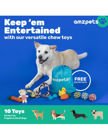Conjunto de 10 Juguetes para Perros Pequeños AMZpets
