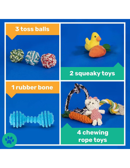 Conjunto de 10 Juguetes para Perros Pequeños AMZpets