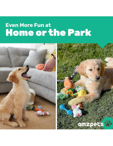 Conjunto de 10 Juguetes para Perros Pequeños AMZpets