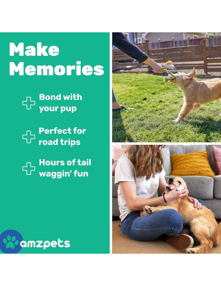 Conjunto de 10 Juguetes para Perros Pequeños AMZpets