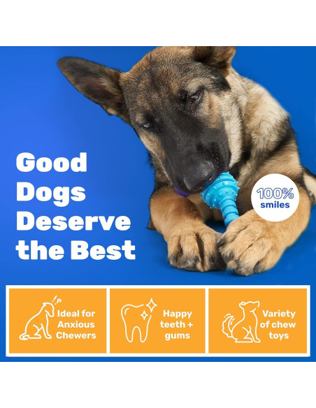 Conjunto de 10 Juguetes para Perros Pequeños AMZpets