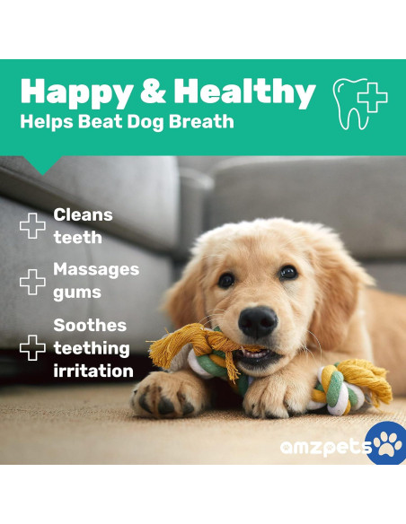 Conjunto de 10 Juguetes para Perros Pequeños AMZpets