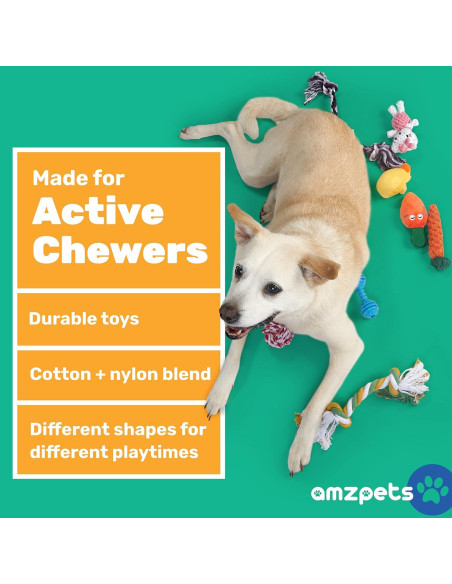 Conjunto de 10 Juguetes para Perros Pequeños AMZpets
