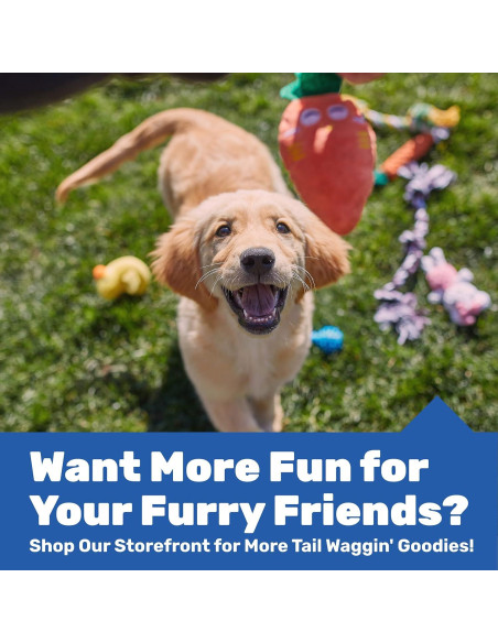 Conjunto de 10 Juguetes para Perros Pequeños AMZpets