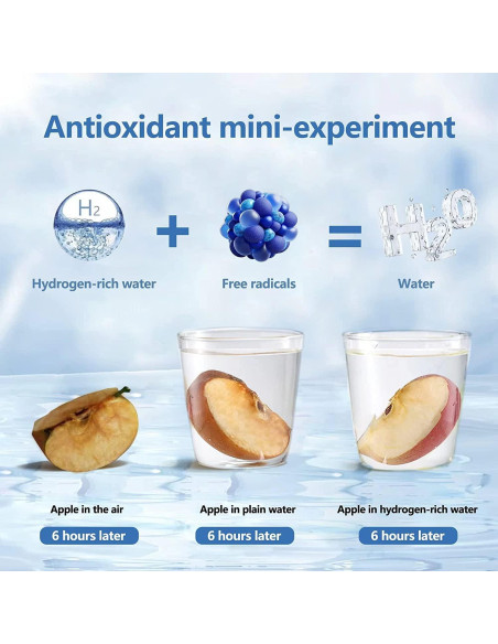 Botella de Agua de Hidrógeno YONGKANG 420ml Libre BPA Plata