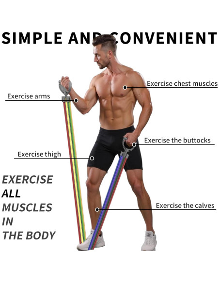 Juego de Bandas de Resistencia 17 Piezas ZUFUMI - Ejercicio en Casa