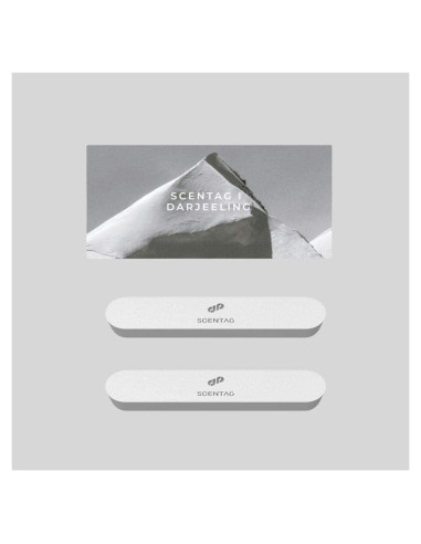 Ambientador de coche Scent Tag con cerámica y clip ventilación