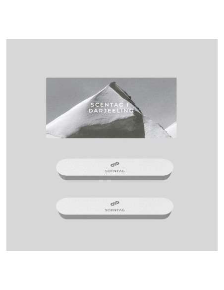 Ambientador de coche Scent Tag con cerámica y clip ventilación