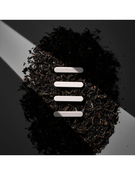 Ambientador de coche Scent Tag con cerámica y clip ventilación