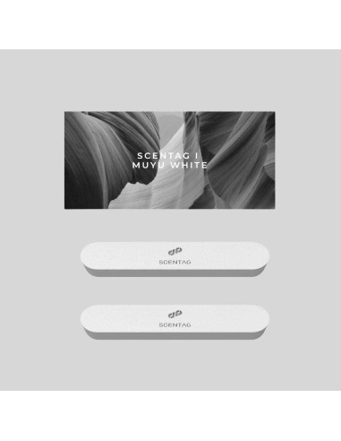 Ambientador de coche Scent Tag con cerámica y clip ventilación