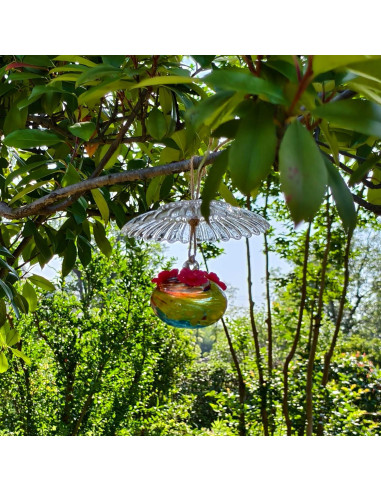 Alimentador de Colibríes de Vidrio HOLAHOMA 100 ml con Cubierta