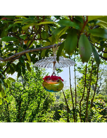 Alimentador de Colibríes de Vidrio HOLAHOMA 100 ml con Cubierta