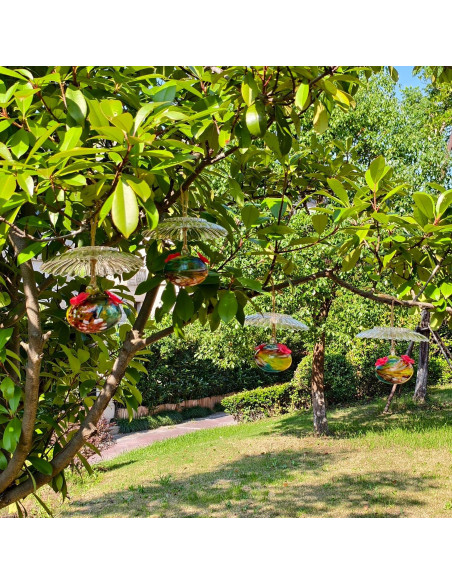 Alimentador de Colibríes de Vidrio HOLAHOMA 100 ml con Cubierta