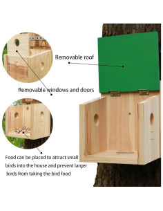 Comedero para Aves STARSWR Grande con Ventana Transparente 2