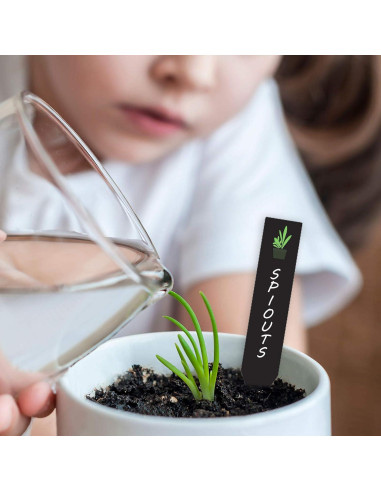 Etiquetas de Plástico para Plantas Whaline 200 Pcs 10x2 cm