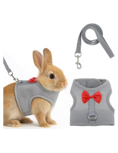 Conjunto Arnés y Correa para Conejos Quilax - Malla Suave Gris