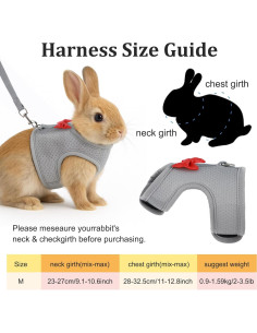 Conjunto Arnés y Correa para Conejos Quilax - Malla Suave Gris 2