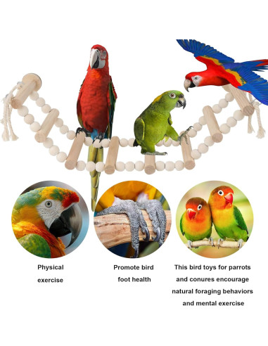 Conjunto de Juguetes para Aves Reshiho: Espejo y Escalera 38cm