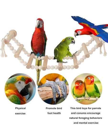 Conjunto de Juguetes para Aves Reshiho: Espejo y Escalera 38cm