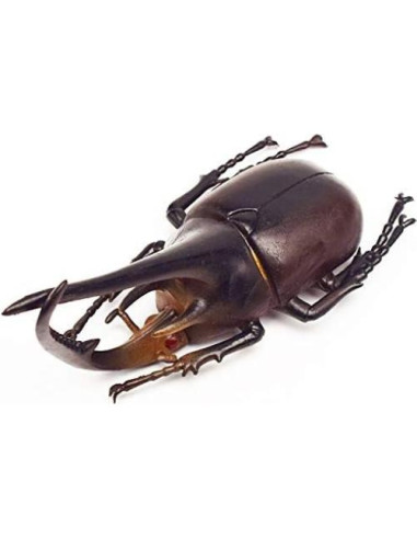 6 Insectos Falsos de Escarabajo PVC Ecológico para Halloween