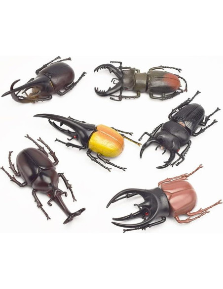 6 Insectos Falsos de Escarabajo PVC Ecológico para Halloween