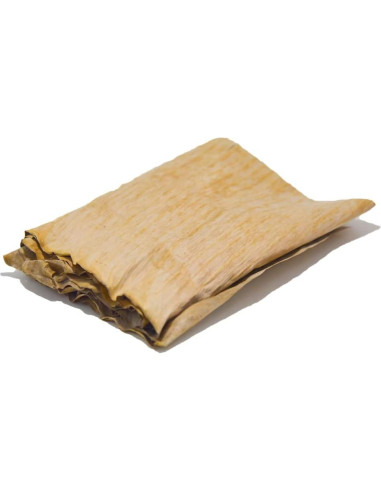 Hojas de Plátano Premium 50g - Mejora Acuario Betta y Camarones