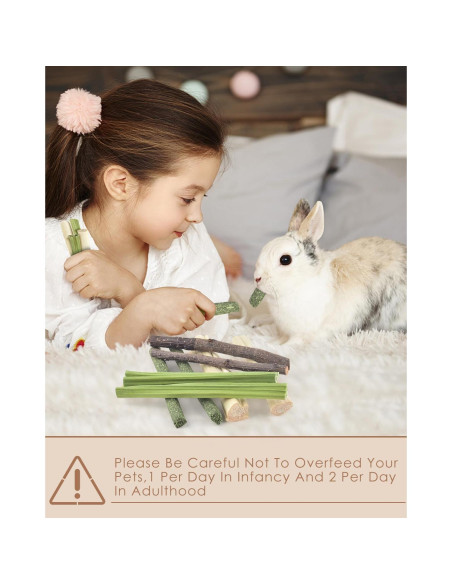 Palitos Masticables Naturales Bissap para Conejos y Roedores 60 PCS