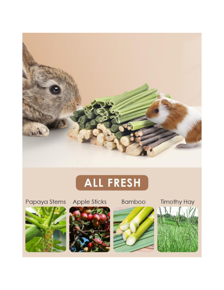 Palitos Masticables Naturales Bissap para Conejos y Roedores 60 PCS