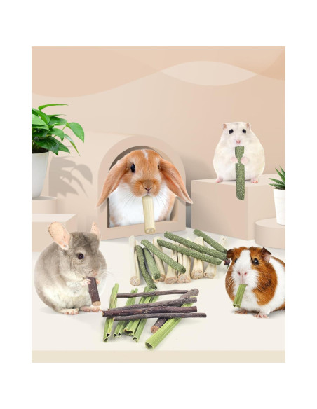 Palitos Masticables Naturales Bissap para Conejos y Roedores 60 PCS