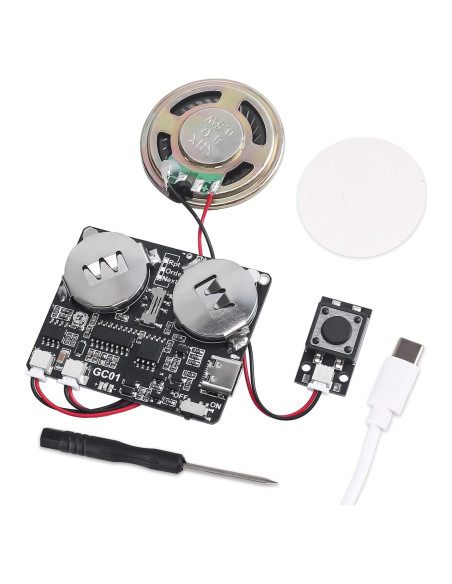 Módulo de Sonido Icstation 8MB Recargable USB Tipo-C