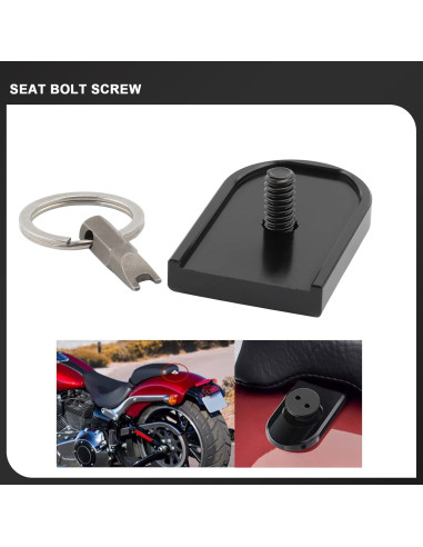 Tornillo de Asiento Antirrobo Daklvng 1/4"-20 para Harley 1996-2024
