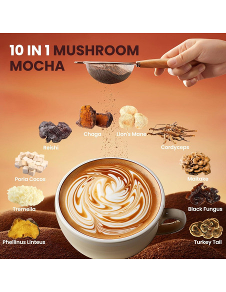 Café Mocha de Champiñones 10 en 1 QIN SHAN TANG 180g