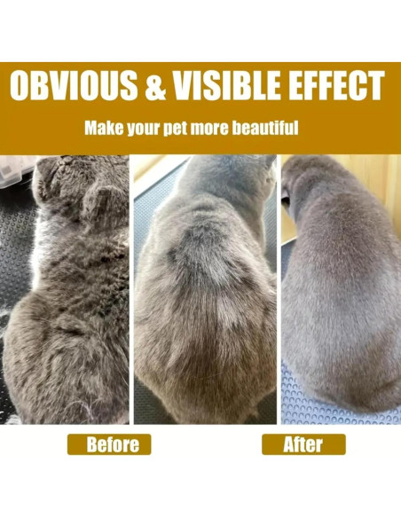 Cepillo de Vapor 4 en 1 MENGWO para Gatos y Perros - Antiestático