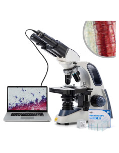 Microscopio SWIFT SW380B 40X-2500X con Cámara 5.0MP