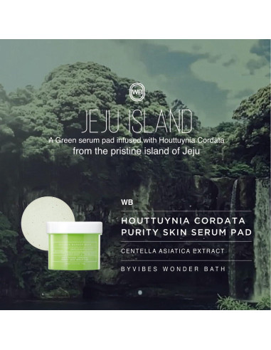 Almohadillas Tonificantes Houttuynia Cordata ANCORS - 70 Unidades