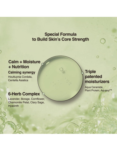 Almohadillas Tonificantes Houttuynia Cordata ANCORS - 70 Unidades