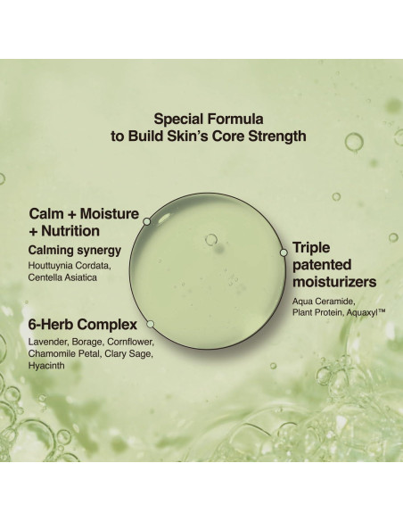 Almohadillas Tonificantes Houttuynia Cordata ANCORS - 70 Unidades