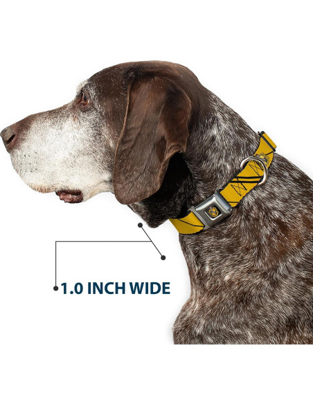Collar para Perros Warner Bros. Hufflepuff 50.8-78.7 cm