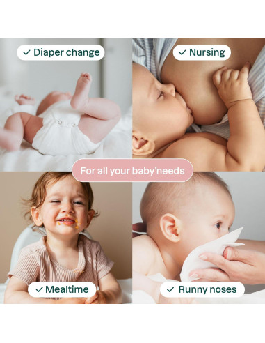 Toallitas Húmedas Biodegradables ATTITUDE 72 Unidades Sin Fragancia