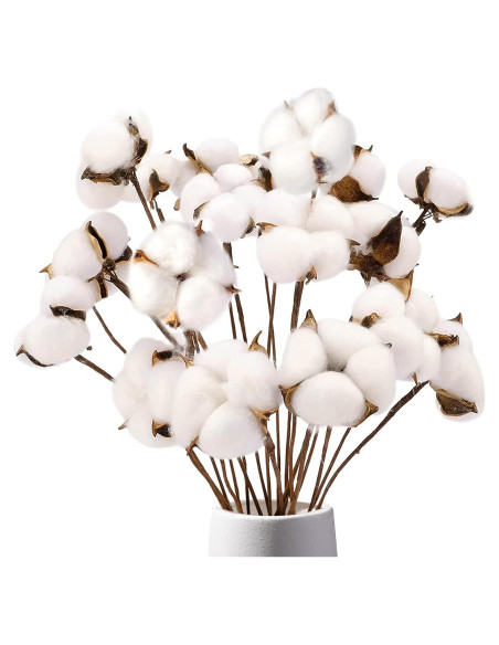 Ramas de Algodón Natural DomeStar - 8 Paquetes de 15 Bolas