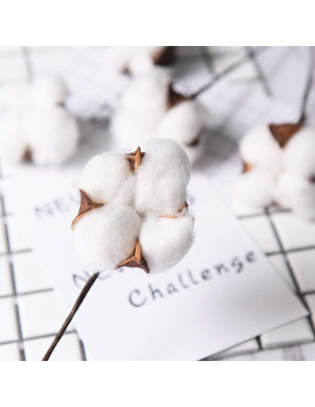 Ramas de Algodón Natural DomeStar - 8 Paquetes de 15 Bolas