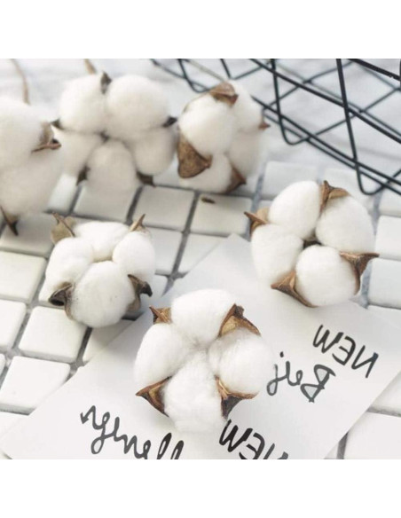 Ramas de Algodón Natural DomeStar - 8 Paquetes de 15 Bolas