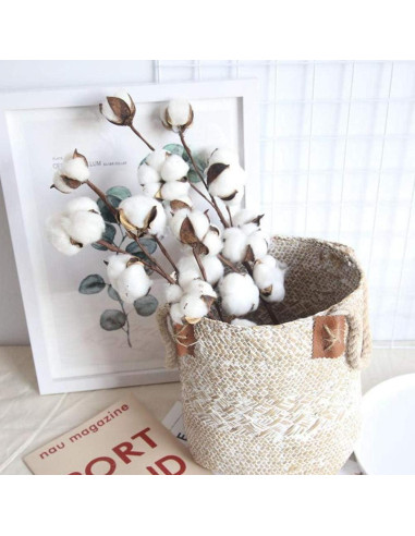 Ramas de Algodón Natural DomeStar - 8 Paquetes de 15 Bolas